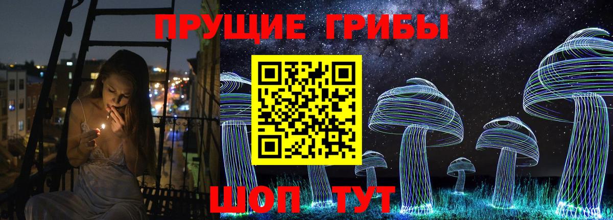 Жигулёвск  Псилоцибиновые грибы MAGIC MUSHROOMS  сколько стоит  Вход с VPN  Галлюциногенные грибы Psilocybine cubensis 